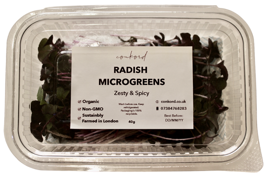 Rambo Radish Microgreens
