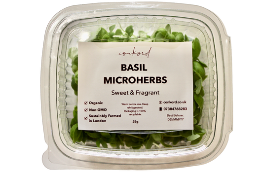 Basil Microherbs