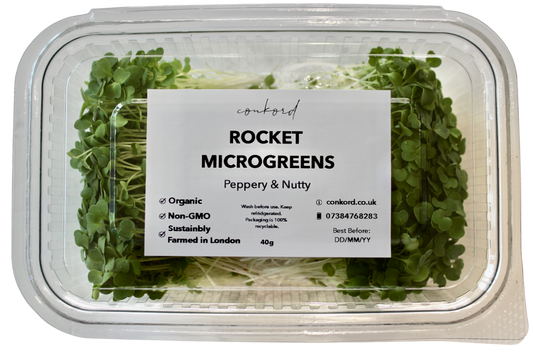 Rocket Microgreens