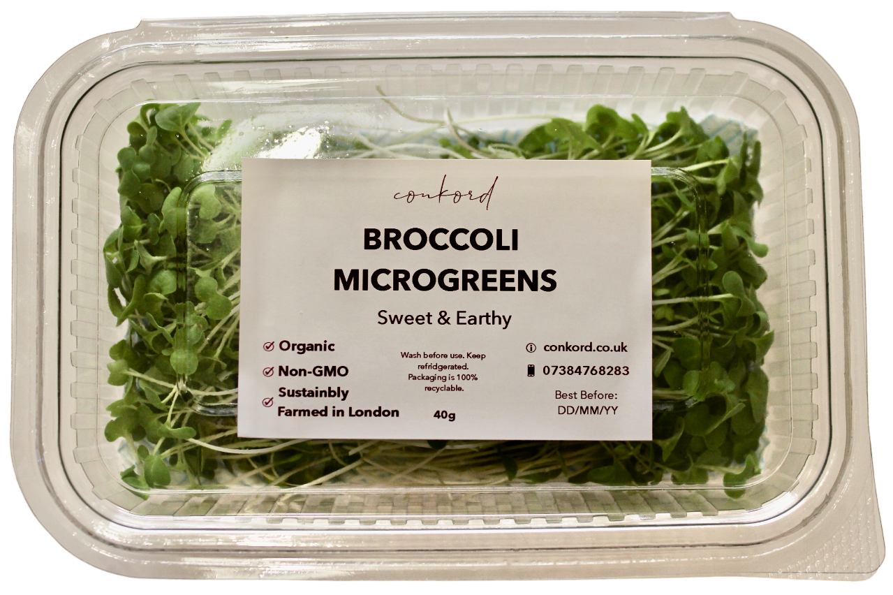 Broccoli Microgreens