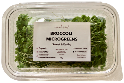 Broccoli Microgreens