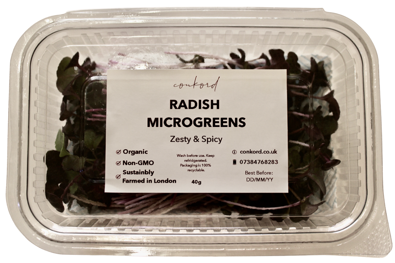 Rambo Radish Microgreens