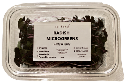 Rambo Radish Microgreens