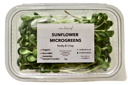 Sunflower Microgreens