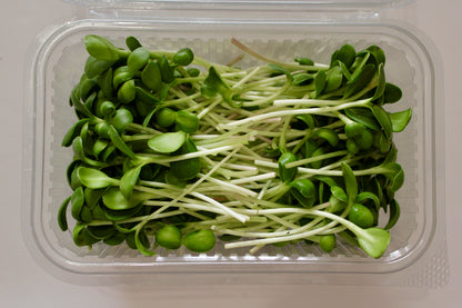 Sunflower Microgreens