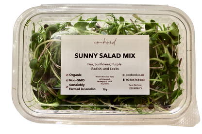 Sunny Salad Mix