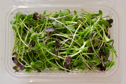 Sunny Salad Mix