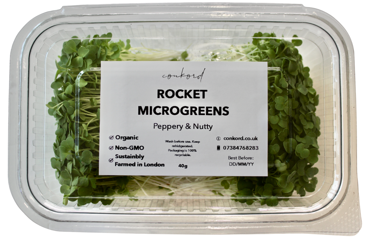 Rocket Microgreens