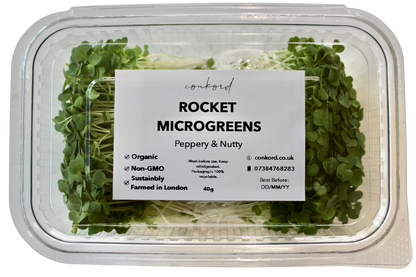 Rocket Microgreens